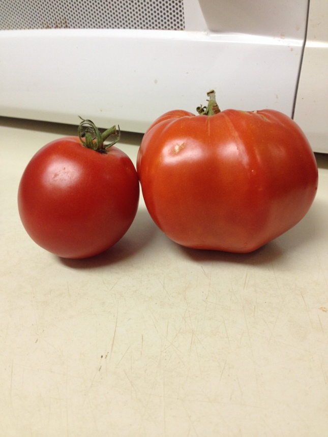 GER tomatoes