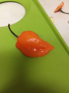 The infamous Scotch bonnet, which is one of the hottest peppers available.