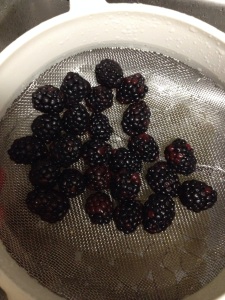 Big, juicy blackberries! 