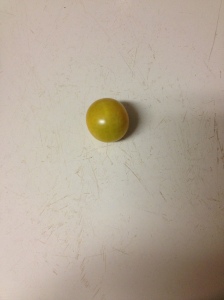 My first organic yellow tomato. Woo hoo! 