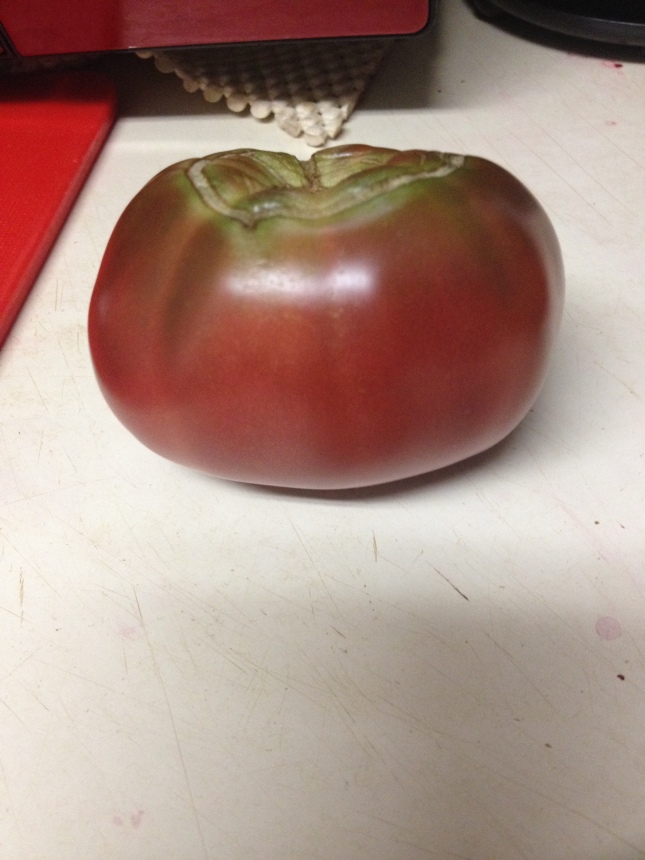 A Cherokee Purple Tomato. Looks red to me. 